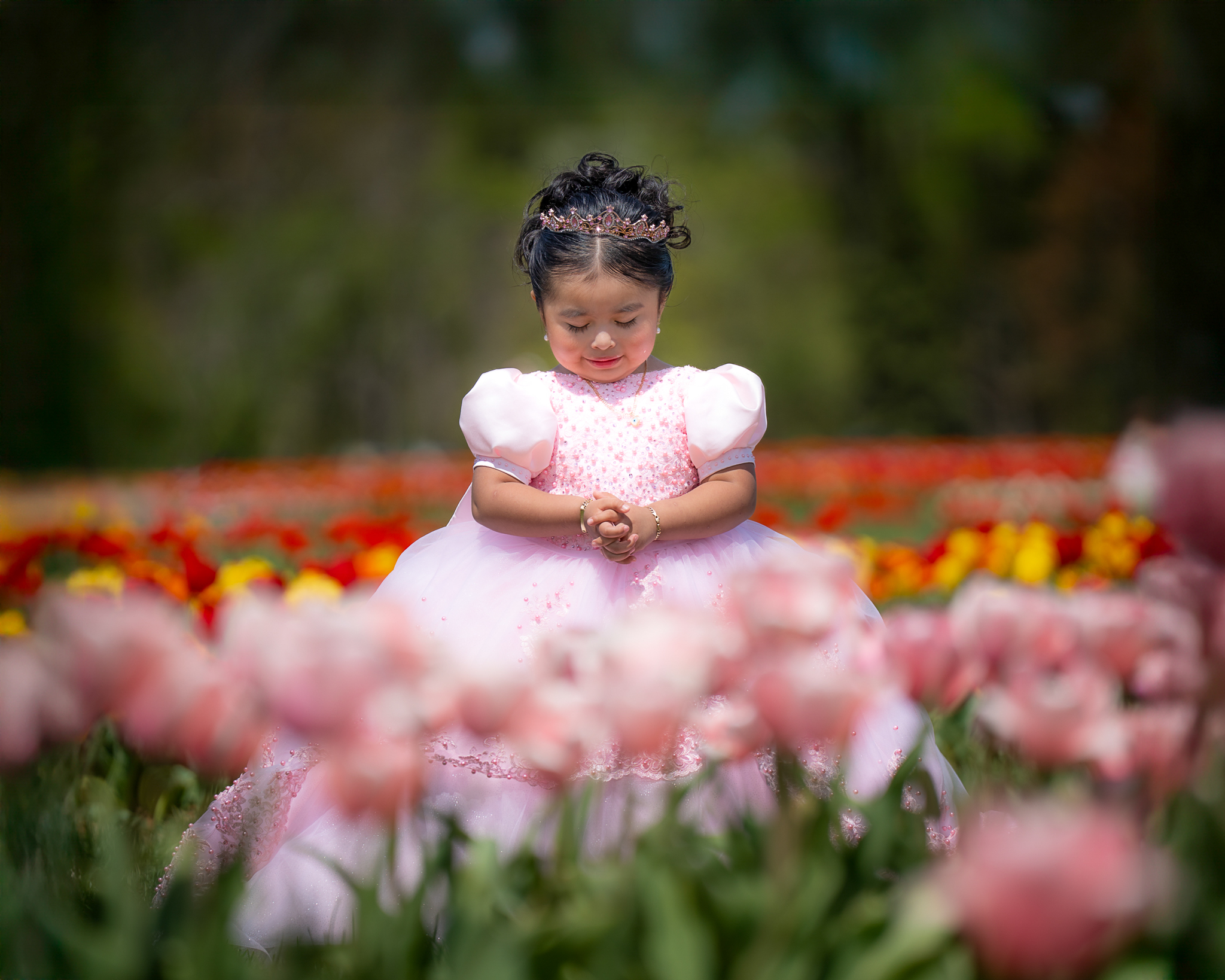 Retrato de una niña con un vestido pomposo rosado, con las manos entrelazadas como si estuviera orando en un campo de tulipanes.